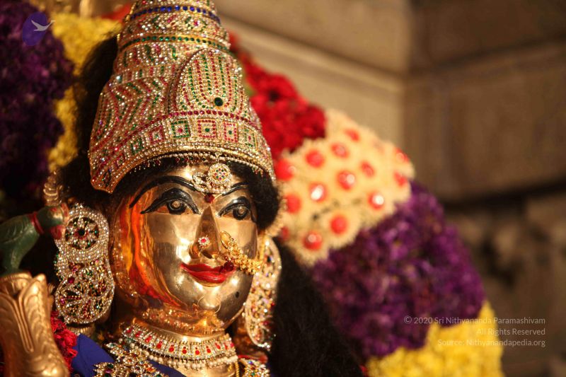 File:20111130 Photo 1033 1vZznIXOPc20lf8s8b9oDLZT40so0Su4w.JPG