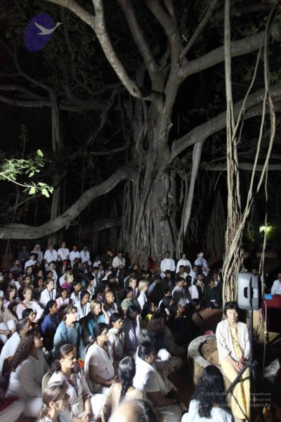 File:20111130 Photo 1316 1ZPi4zvoJVDrhRKLx6l5aLICTphOuYsTu.JPG