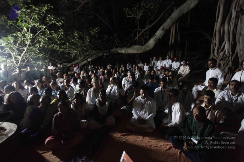 File:20111130 Photo 1318 1HDjktCG8YN69HsUxirYCPmhoriDD5koW.JPG