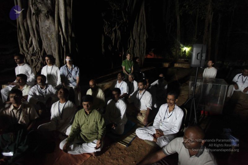 File:20111130 Photo 1320 1nogqvXjAayog7mlTOyuWG8TMhmM wSQz.JPG