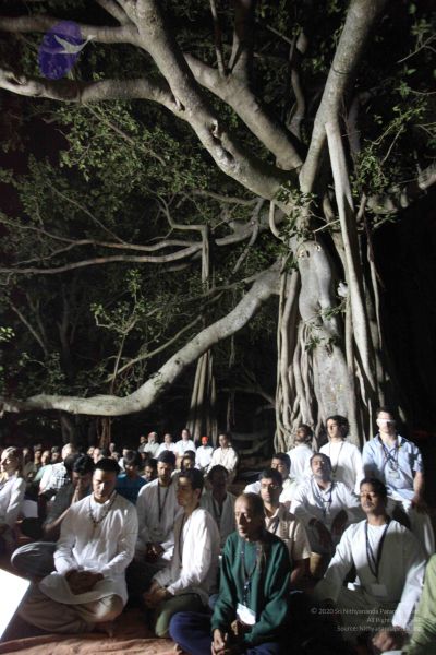 File:20111130 Photo 1324 1nYjZPtHthR7nGhS65xItbGbQVxNLebUZ.JPG