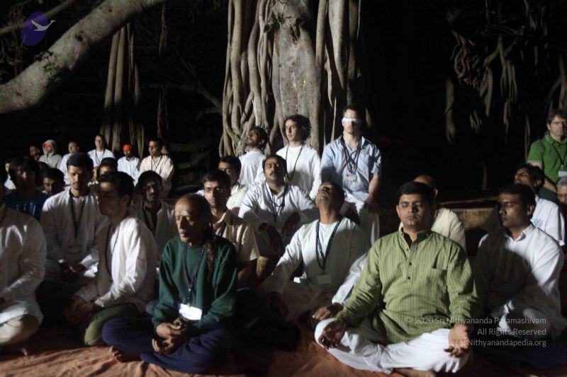 File:20111130 Photo 1325 1Pa2zaHXovCUvQu0kO3LSInl06Tv7q93d.JPG