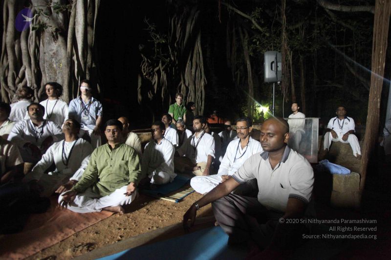 File:20111130 Photo 1326 16 swQajZyJ2GhOFaWfSYayx6N0ttR J4.JPG