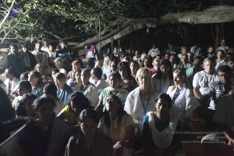 File:20111130 Photo 1328 1-Pz5ZX 4DnWYa2YwS 1uTFWghSENp86T.JPG