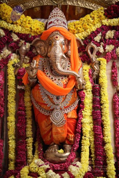 File:20111130 Photo 1344 1X8vmcfhzFdGfMzuA2tWm7dJCpO0QI9MQ.JPG