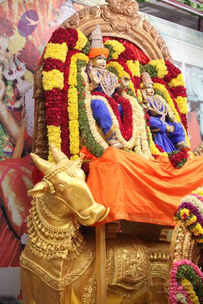 File:20111130 Photo 1345 1Fgj3AF4hDi62oTC7vsx7t cnPCs-aXQr.JPG