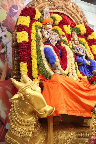 File:20111130 Photo 1346 1tuhtGVYPhfGyh0OvDcbhF9OR18vzPwIz.JPG