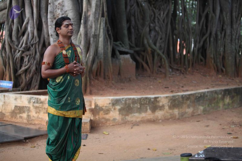 File:20111201 Photo 1008 1A3PZWs02a2kReKy9GPhcMhynAM6PZAfp.JPG