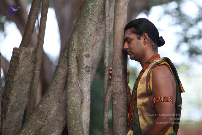 20111201 Photo 1010 1476UrLmZi2QNj16T2hIFWoIwyT6lnW3H.JPG