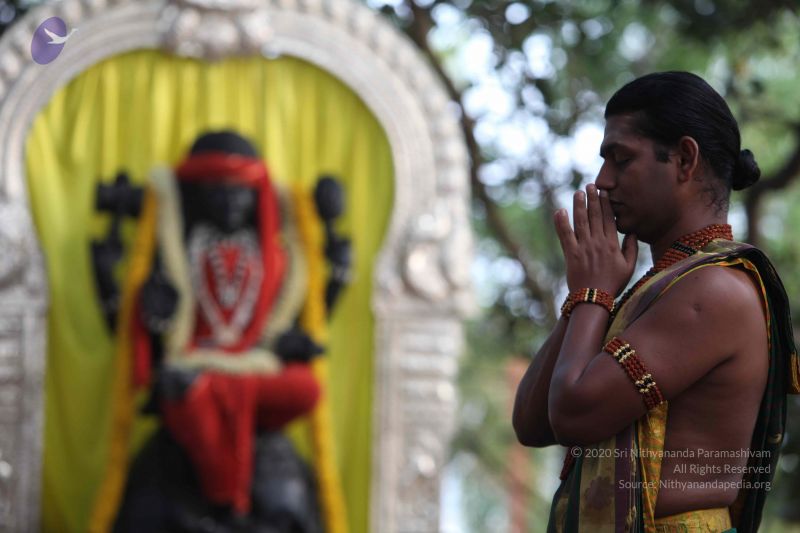 File:20111201 Photo 1014 1mvyn8cGqM90NqXZaTYpDRPRRA3CpoUAB.JPG