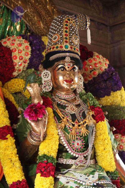 File:20111201 Photo 1025 1uvfyTHbGeXQ0NVToIug2flxwGSMaebQy.JPG