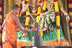 20111201 Photo 1412 1MeefC8XENbJ3OVPRgqB9WpCuSeOJDlZ8.JPG