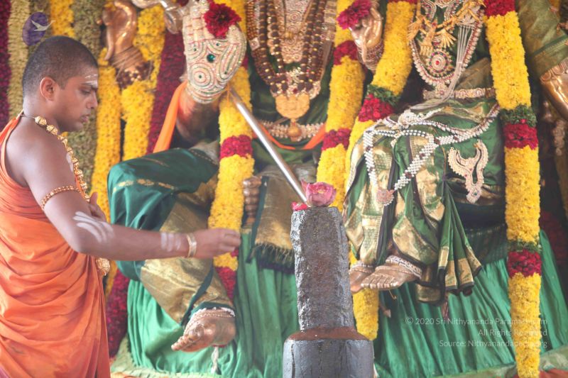 File:20111201 Photo 1420 1gEBFF7ENusy-jhkcdQcmA6Etf3QIBkPC.JPG