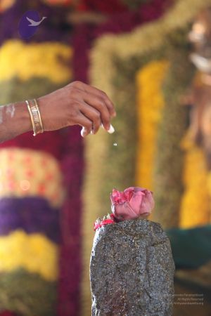 20111201 Photo 1424 12RHIdLEsJHga5hRfijtED13DRcVSuIju.JPG