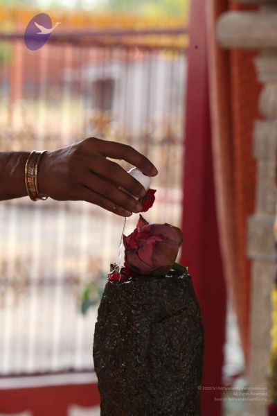 File:20111201 Photo 1429 1GrOemTE8hx2R Dztyr4Zz3OMQ62Ebt3q.JPG