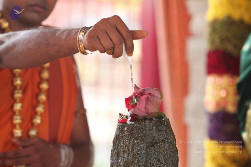 File:20111201 Photo 1434 1At speJIVbsiBYnI04dclEhkJmprgTvs.JPG