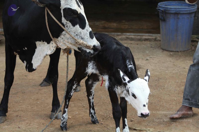 File:20111201 Photo 1448 1mIpoZAkiC-y4jFlLv3MnOWcV9KUjXauf.JPG