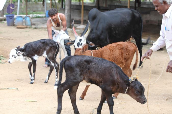 20111201 Photo 1451 1g9GKVLrEChUIleqDrZwNCuvHV-XthSR4.JPG