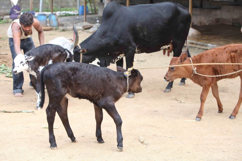 File:20111201 Photo 1452 1EiMWq5NARHSlzWzDiLvGNAPkc4437fER.JPG