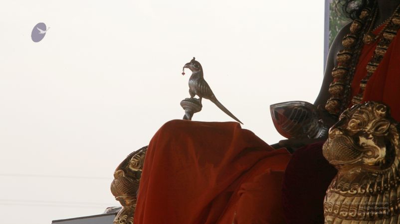 20111208 IMG 9589-102001.jpg