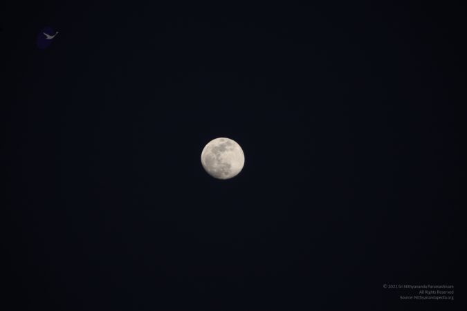 20111208 IMG 9705-206001.jpg