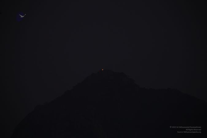 20111208 IMG 9709-210001.jpg