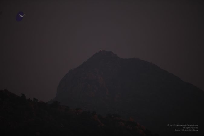 20111208 IMG 9716-217001.jpg