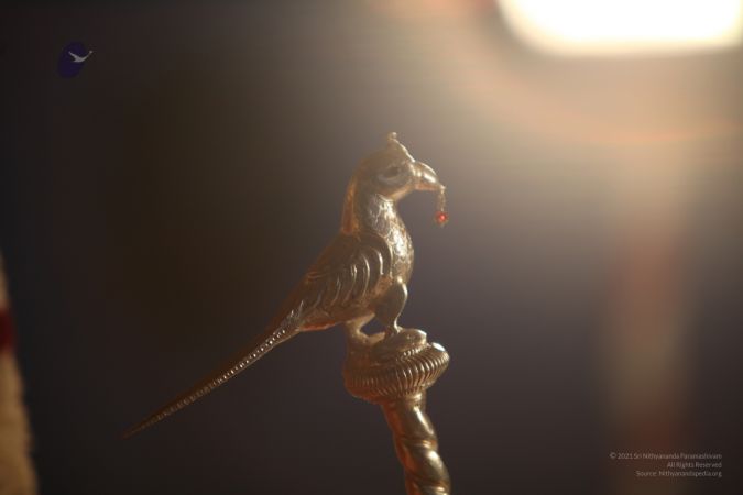 20111208 IMG 9722-223001.jpg