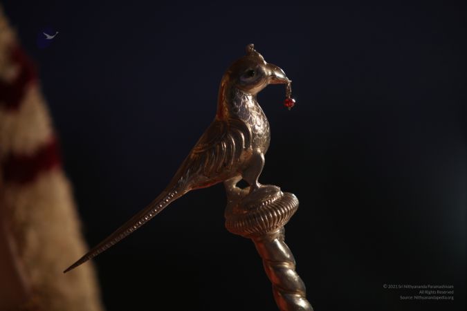 20111208 IMG 9723-224001.jpg