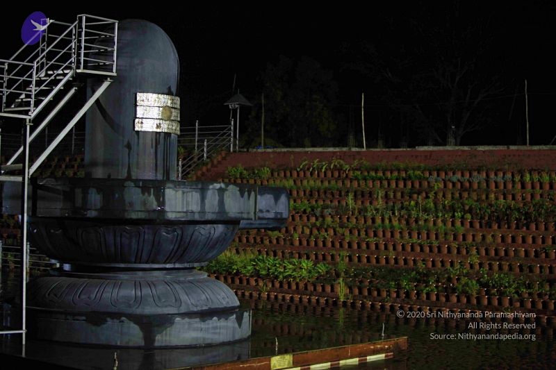 File:20111209 Photo 1017 1JHEfS8x-KOatAedo BkQnoabg4zckvq4.JPG