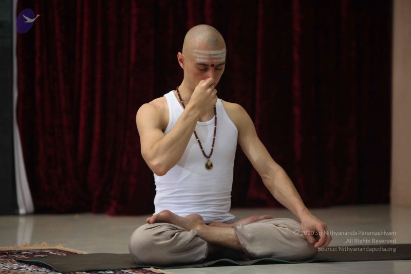 File:20111210 Photo 1133 1KY2EiHHVNoJrzPLIgagiLyM0j5cqoTQE.JPG