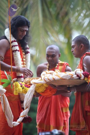 20111211 Photo 1152 1vFFnUTRRTtBhaEIAnaAOmsz1XpCF-EkS.JPG