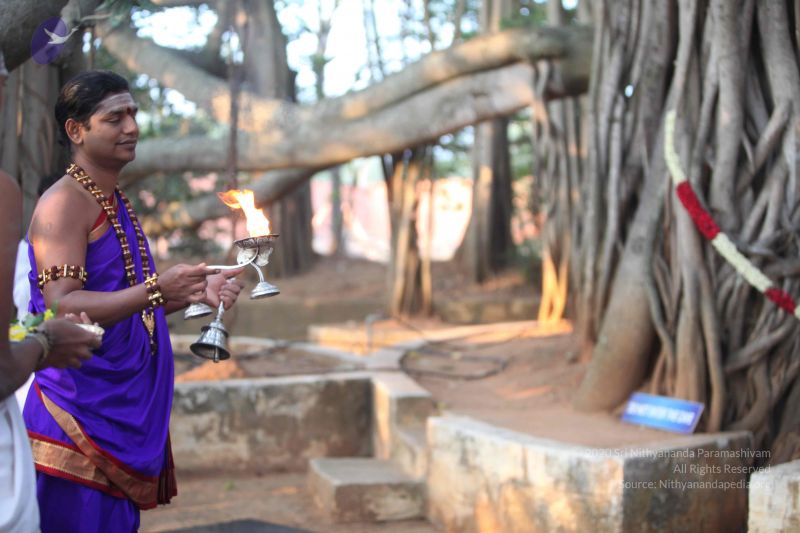 File:20111214 Photo 1032 1kCFGn TkqSPhfGV9raSF-j45A uSVIkc.JPG