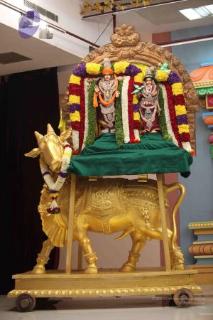 20111215 Photo 1209 1aEWoaK5BRt5Nh8VDX7S-1HMPd8C4GTeh.JPG