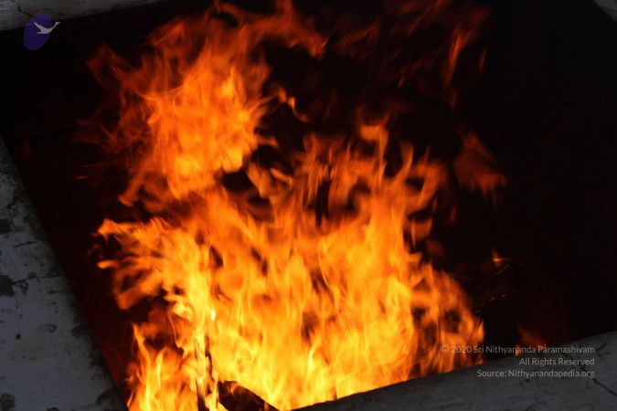 20111216 Photo 1272 1EcdJMTFYlkwIz2yzkyyx FiAflzSutKD.JPG