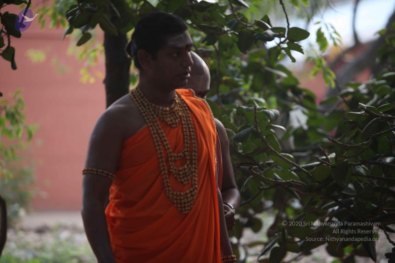 File:20111217 Photo 1005 1I82dvunHQpJCygcPc492CVtVsYiYCU1Q.JPG