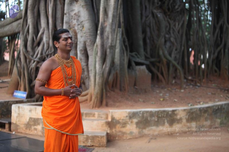 File:20111217 Photo 1007 1256C5ffkGubvu5mWhvqi6Z64n3vtN5CU.JPG