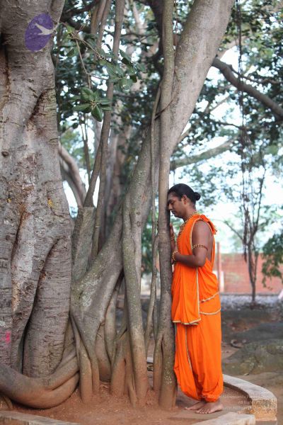 File:20111217 Photo 1009 13li6OEZL4IPDvcyajfajJuiwwPdPMtgS.JPG