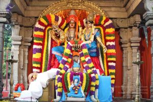 20111217 Photo 1011 1v9K1wOYQWA0ilMg-gu WF1srVZi9jzmK.JPG