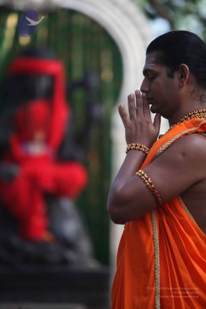 20111217 Photo 1016 1fE0PHb29ZuZlJ0xVBWEfoohkTJe-YLhC.JPG