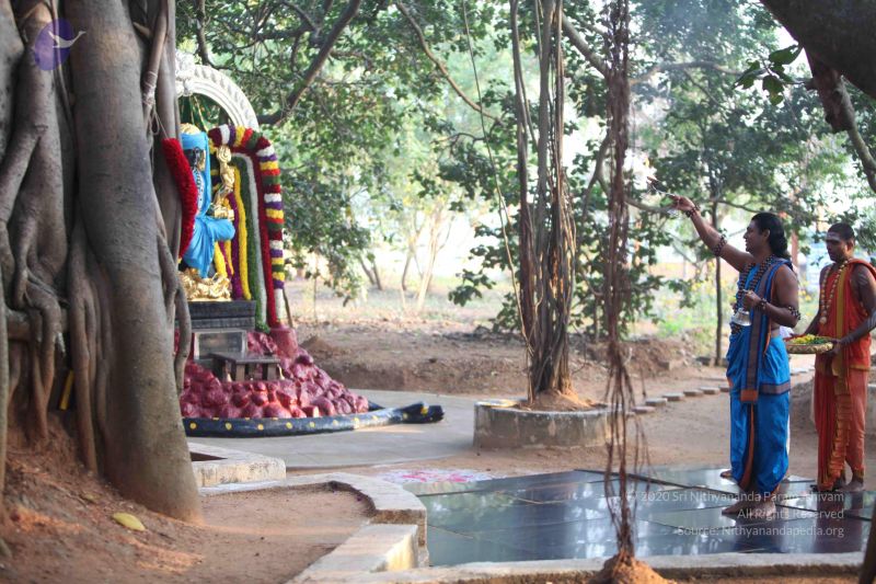 File:20111217 Photo 1037 1Vd-9usspt9sBcexHmgckEusq7J O1KVp.JPG