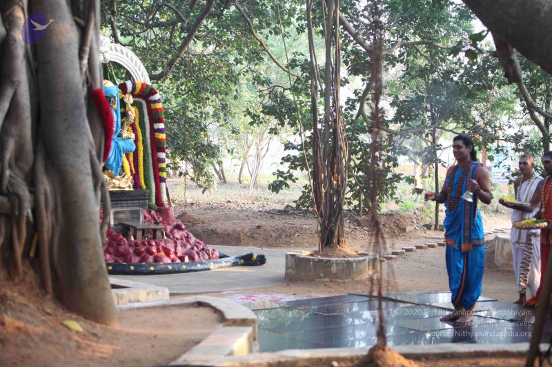 File:20111217 Photo 1038 1wUJQvhQxTzpfKy1X GX9Uvc9wAP8e7k0.JPG