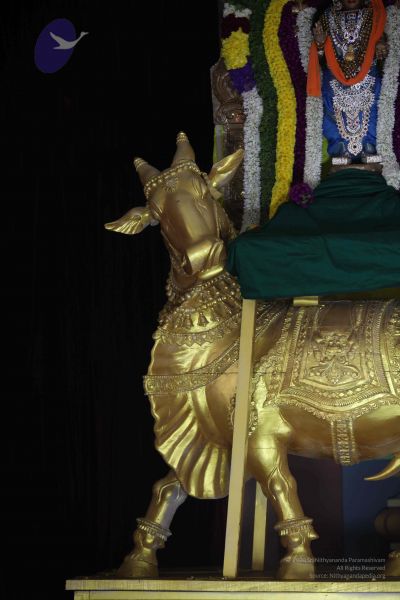 File:20111217 Photo 1121 1i4eWML9AefcDiXuns4wJrRAHV4G09C 0.JPG