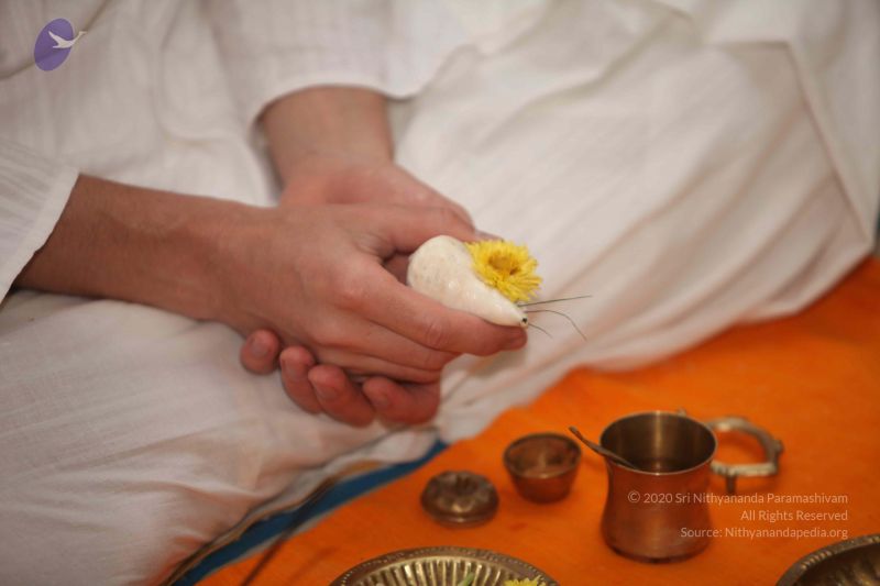 File:20111217 Photo 1127 1o73o wn-0BIgFECq1X0V M8yee5U4IkQ.JPG