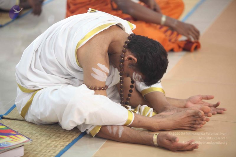 File:20111217 Photo 1132 1B ARTHfngG3 iL YTAlHYdBAaFREy5b1.JPG