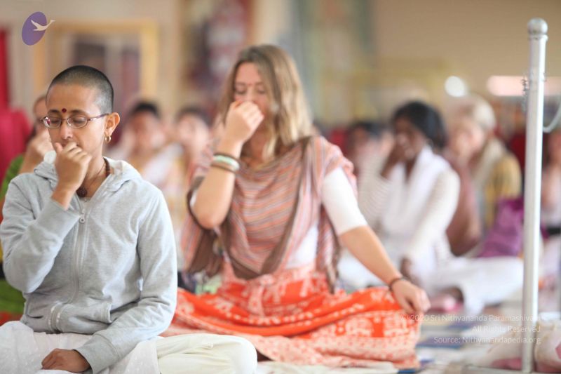 File:20111217 Photo 1319 182aSDHuME-PchcbGTtpYtqHujtnhY5b1.JPG