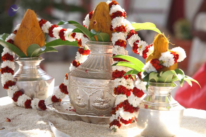 File:20111217 Photo 1366 14RDnSfnkSqLLD5DteFX4wMCvrOBqhVz2.JPG