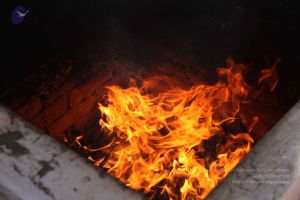 20111217 Photo 1404 13wsQOML 1DLppOR1KwiLL5Dn65HdCv4J.JPG