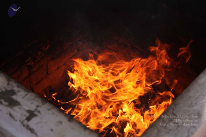 20111217 Photo 1404 13wsQOML 1DLppOR1KwiLL5Dn65HdCv4J.JPG