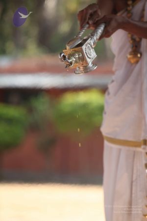 20111217 Photo 1422 1 74rjtKk9fANmVdyDvGQLGWa5lSv7qmC.JPG